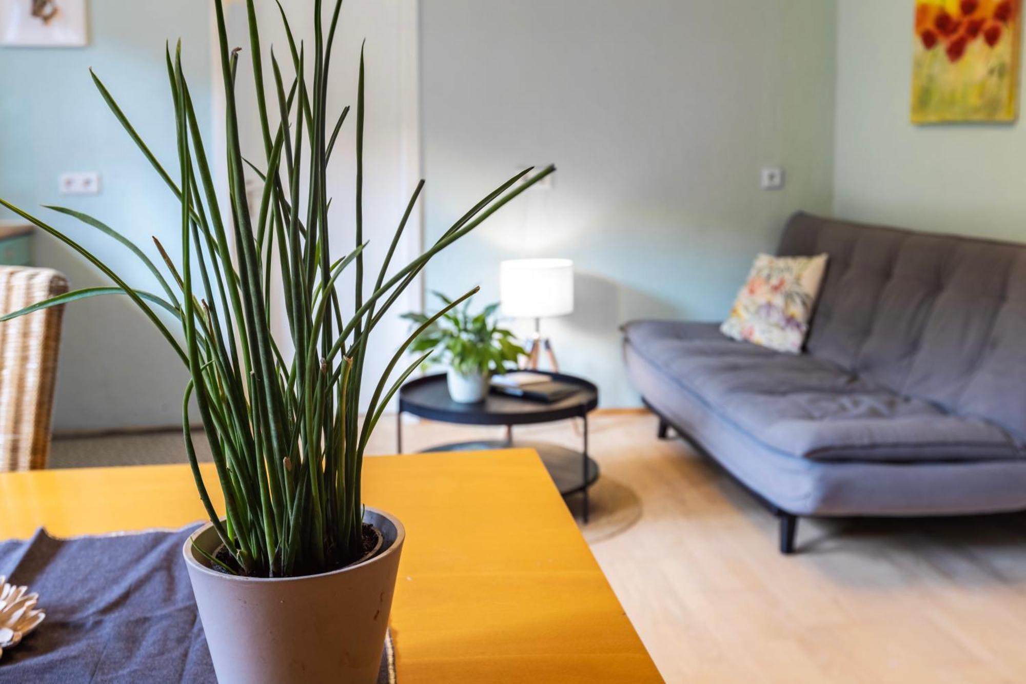 Ferienwohnung Karker 1 Radolfzell am Bodensee Esterno foto
